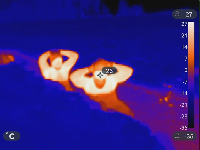 aaa